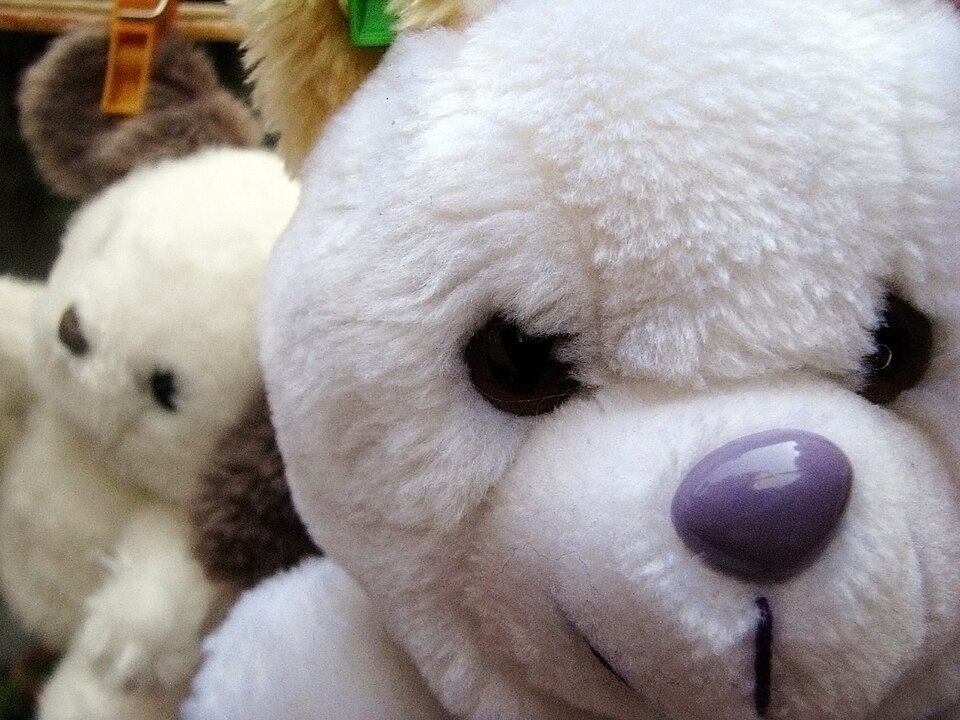 Peluş Ayı 50cm